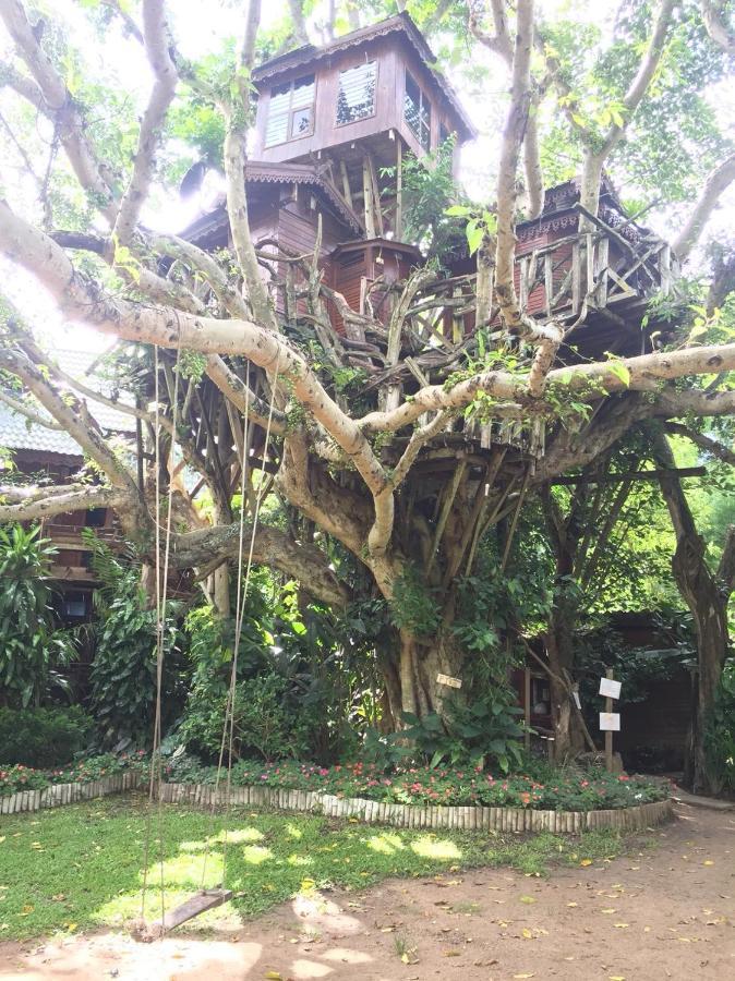 Pai Treehouse Otel Dış mekan fotoğraf